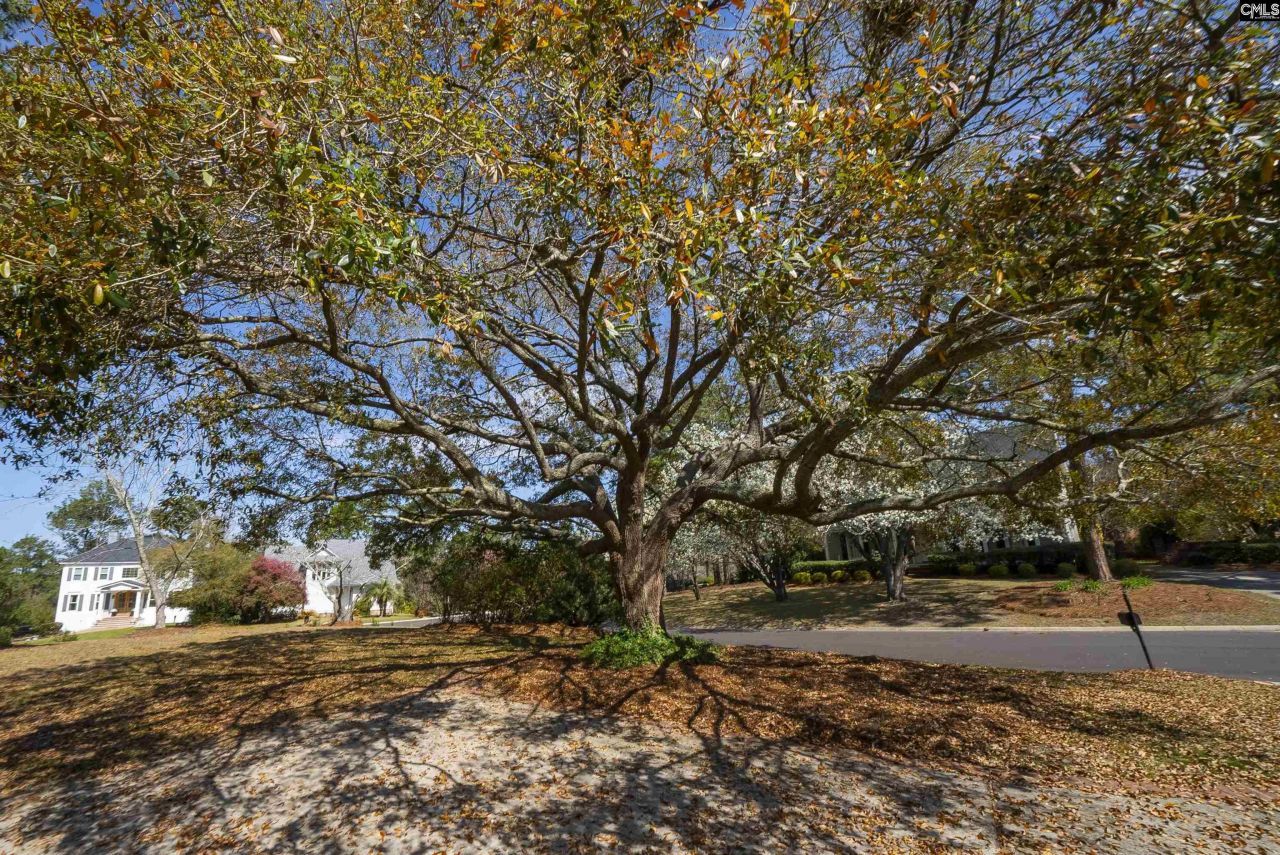 58 Mallet Hill Court  Photo 57