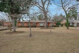 215 Castle Drive photo 4