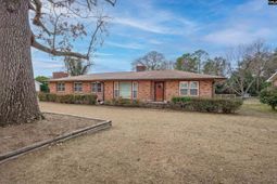 215 Castle Drive photo 4