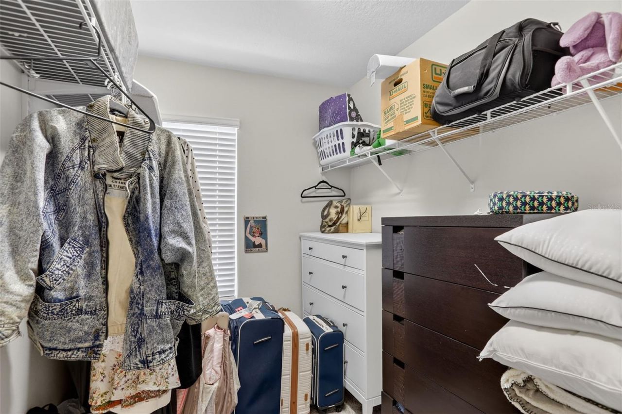 2222 Gopher Tortoise Terrace, Oakland, FL 34787 Photo