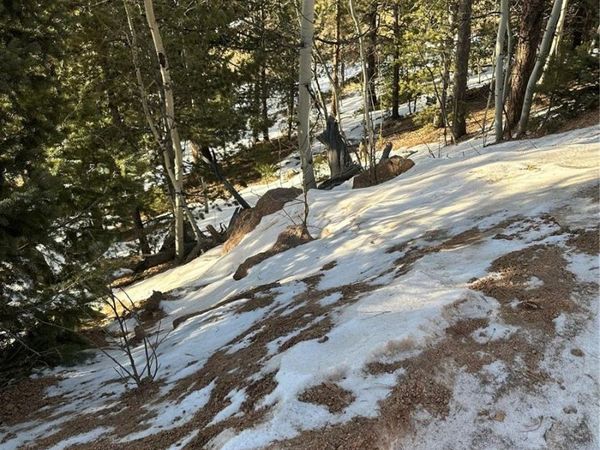 1600 Pikes Peak Drive , Divide, CO 80814