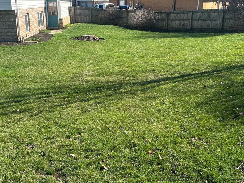 1944 Creswell Drive, Springfield Twp., OH 45240 Photo 36