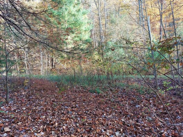 Lot 19 Sugar Maple Way, Del Rio, TN 37727