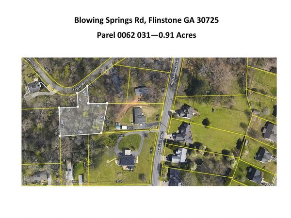 0 Blowing Springs, Flintstone, GA 30725