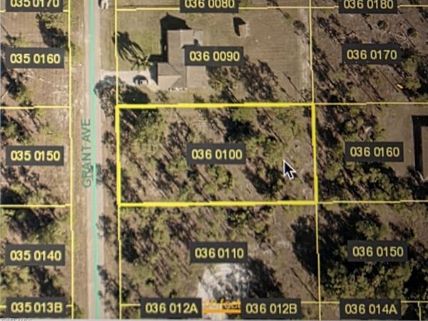 204 Grant AVE , LEHIGH ACRES, FL 33936