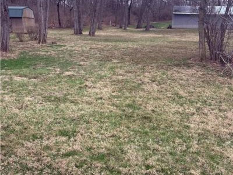 103 Burley Street, New Paris, OH 45347 Photo 4