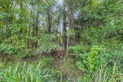 Tbd Sunfish St. photo 4