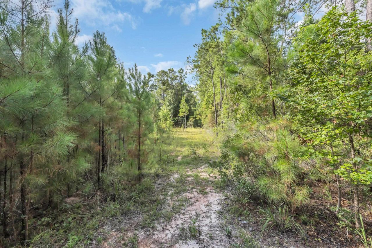 Tbd Sunfish St. Photo 4