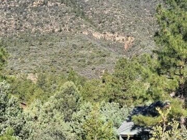 Lot 163 N Portal Drive, Unit 163, Pine, AZ 85544