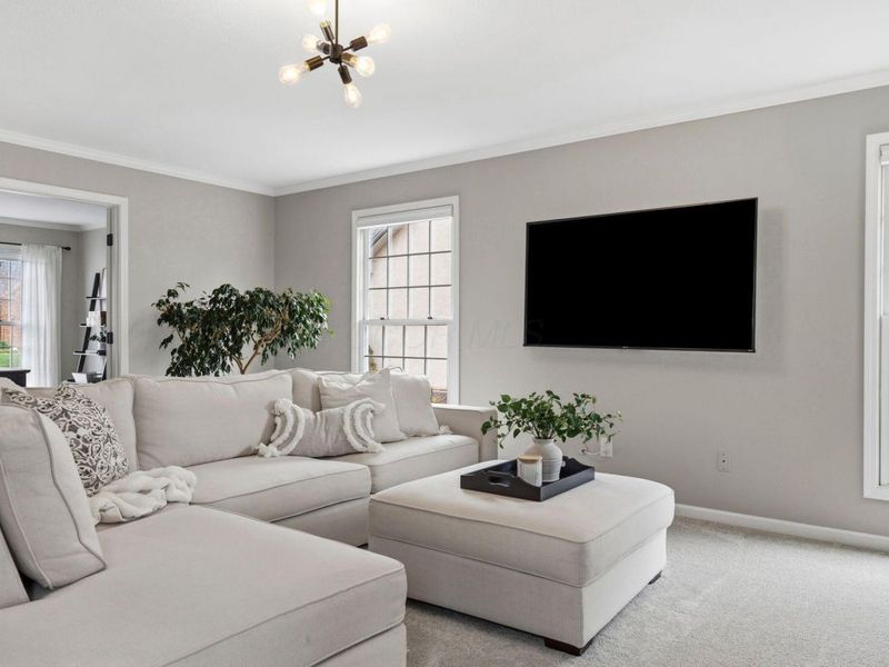 1103 Blue Heron Drive, Westerville, OH 43082 Photo 16