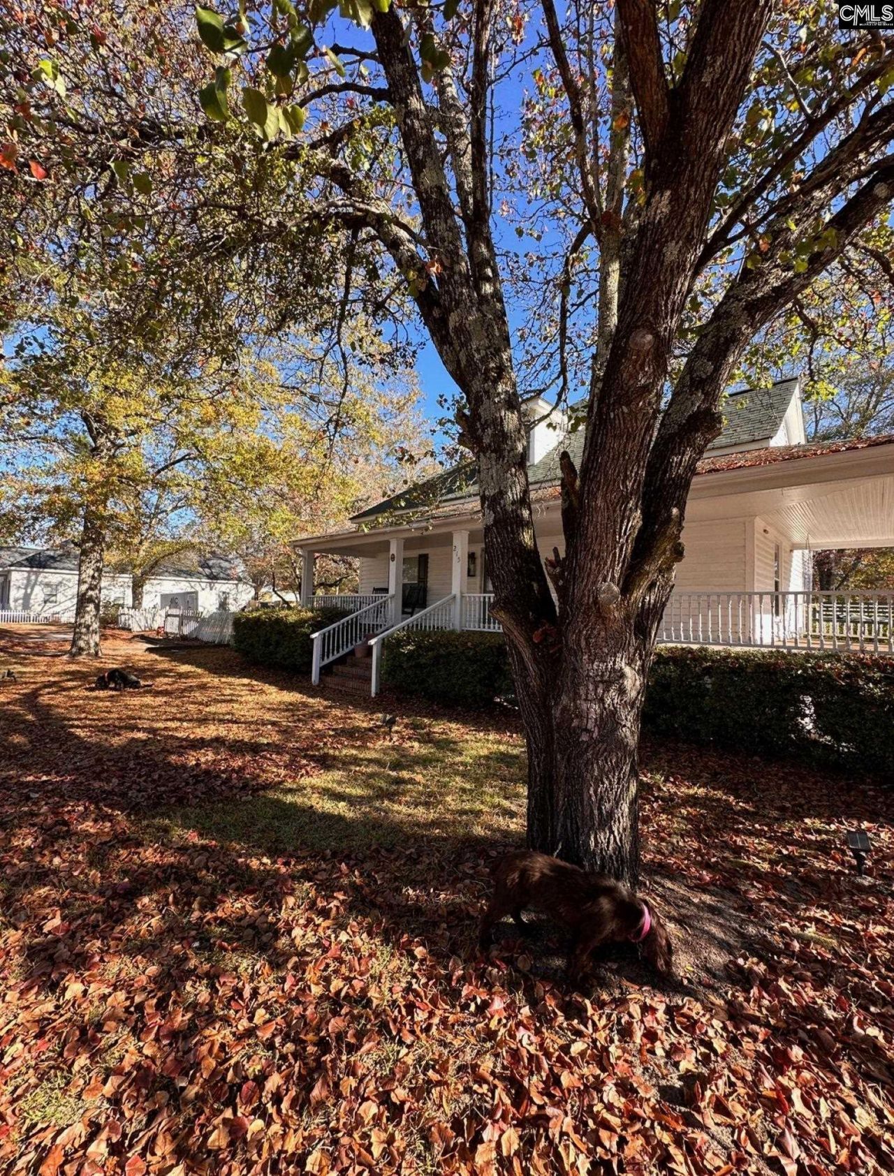 215 S Matson Street Photo 5