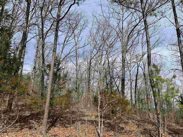 Lot 68 Lower Ridge Circle , Edgemont, AR 72044