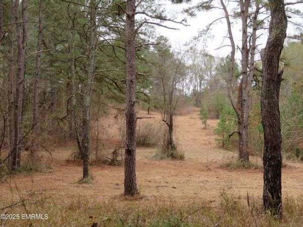 301 Co Rd 31, Heidelberg, MS 39439