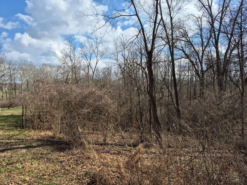 6656 St Rt 133, Wayne Twp, OH 45162 Photo 10