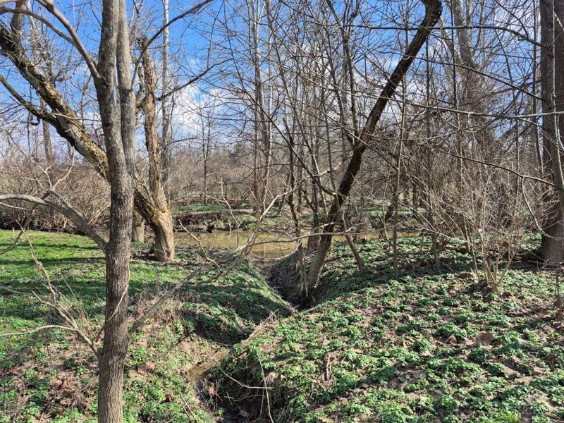 6656 St Rt 133, Wayne Twp, OH 45162 Photo 26