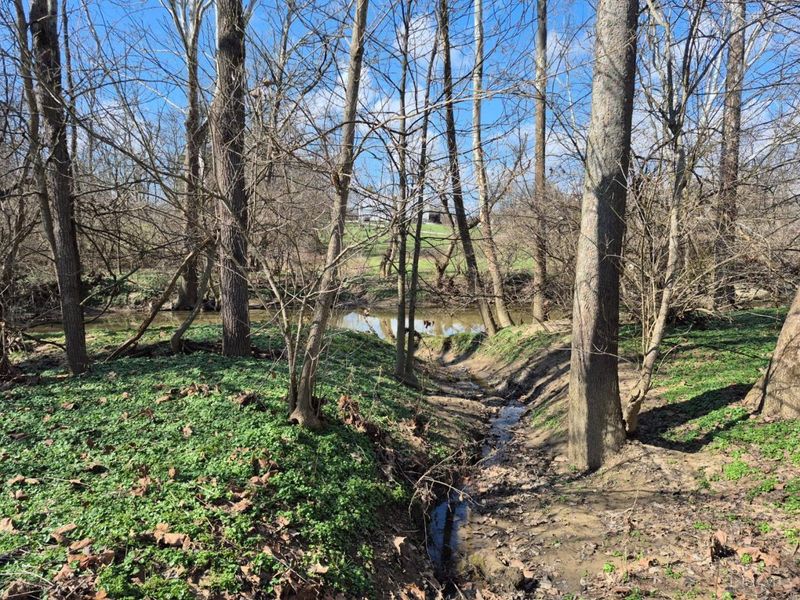 6656 St Rt 133, Wayne Twp, OH 45162 Photo 39