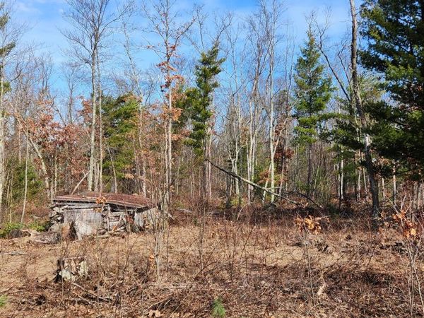 7746 N Woodbridge Road, White Cloud, MI 49349