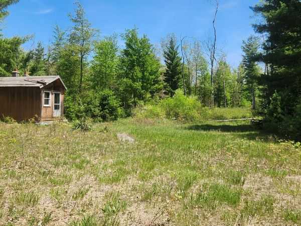 7746 N Woodbridge Road, White Cloud, MI 49349