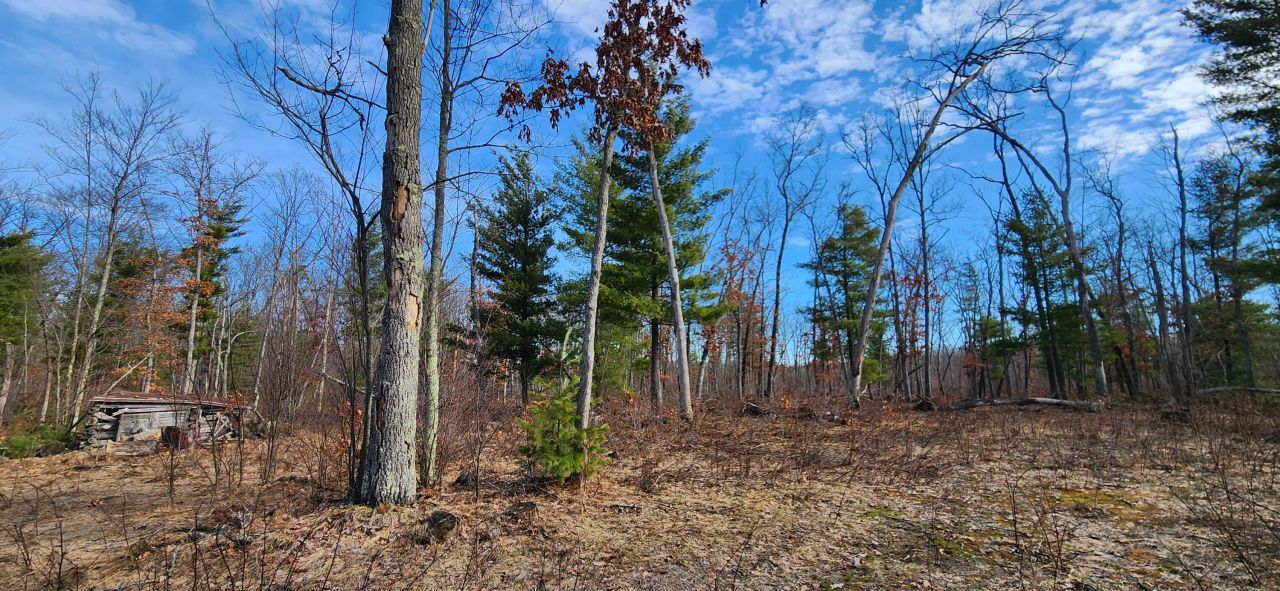 7746 N Woodbridge Road, White Cloud, MI 49349 Main Photo