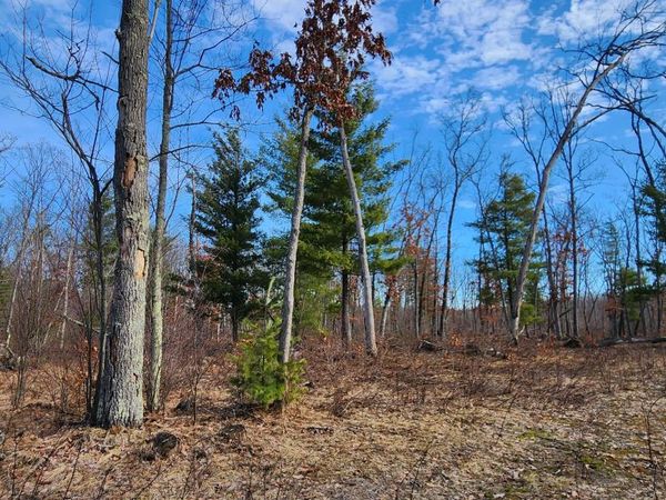 7746 N Woodbridge Road, White Cloud, MI 49349