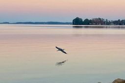 20 Indian Creek Trail photo 4