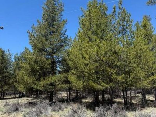 Beechwood Drive, La Pine, OR 97739