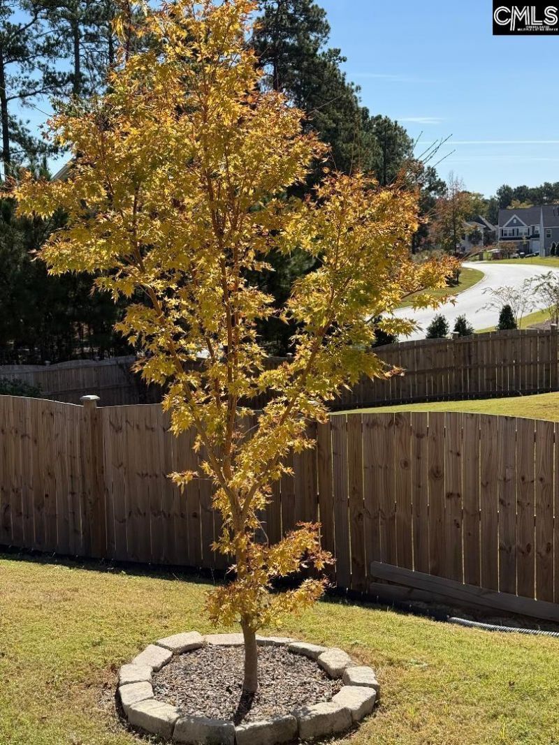 264 Feather Reed Lane Photo 31