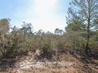 3235 N DAHLIA DRIVE , LAKE PLACID, FL 33852