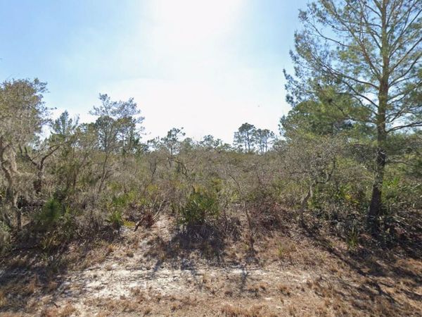 3235 N DAHLIA DRIVE , LAKE PLACID, FL 33852