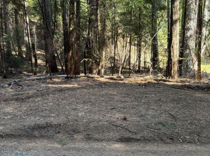 Caine Rd, Alta, CA 95701 Photo