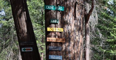 Caine Rd, Alta, CA 95701 Photo