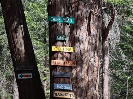 Caine Rd, Alta, CA 95701 Photo