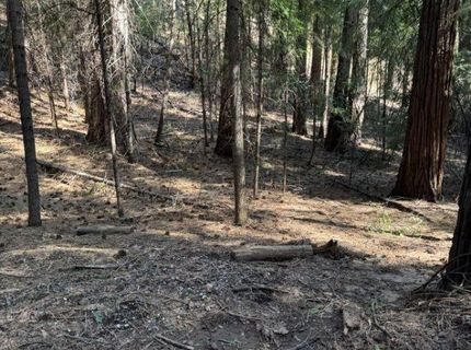 Caine Rd, Alta, CA 95701 Photo