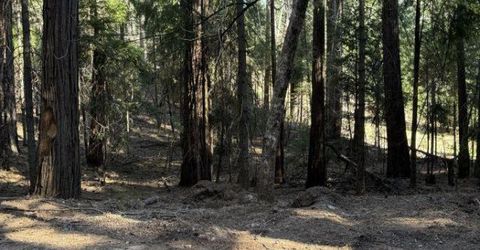 Caine Rd, Alta, CA 95701 Photo