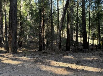 Caine Rd, Alta, CA 95701 Photo