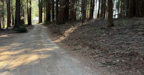 Caine Rd, Alta, CA 95701 Photo