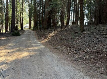 Caine Rd, Alta, CA 95701 Photo