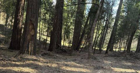 Caine Rd, Alta, CA 95701 Photo