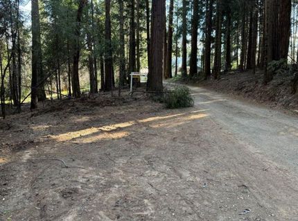 Caine Rd, Alta, CA 95701 Photo