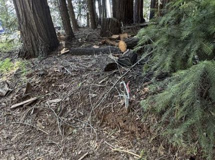 Caine Rd, Alta, CA 95701 Photo