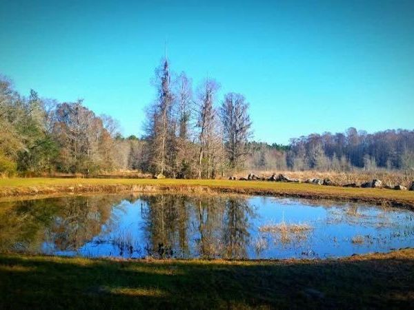 1106 FOX HUNTER RD, PERRY, FL 32348