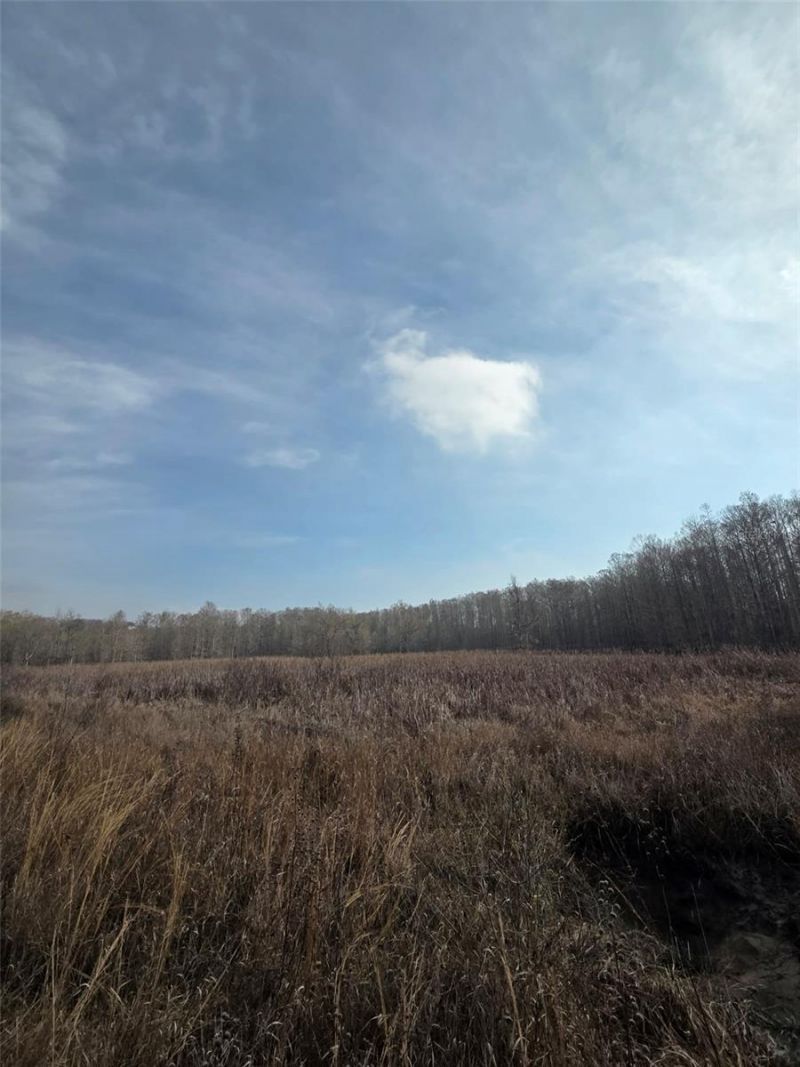 1106 Fox Hunter Rd, Perry, FL 32348 Photo