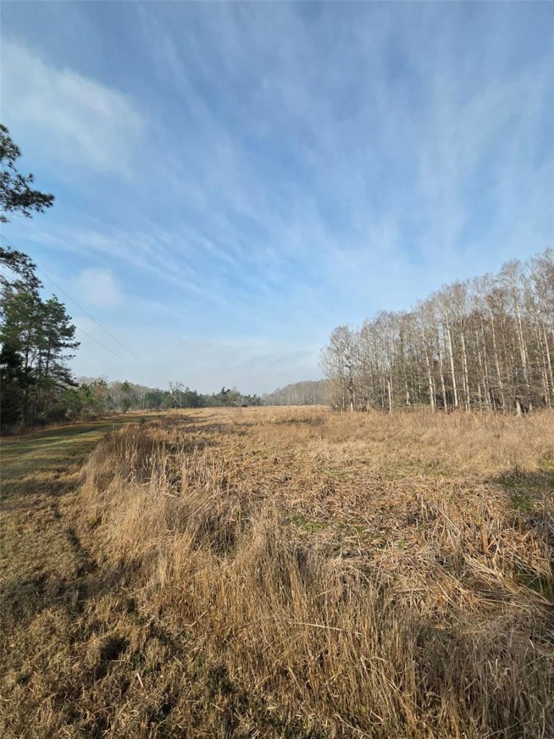 1106 Fox Hunter Rd, Perry, FL 32348 Photo