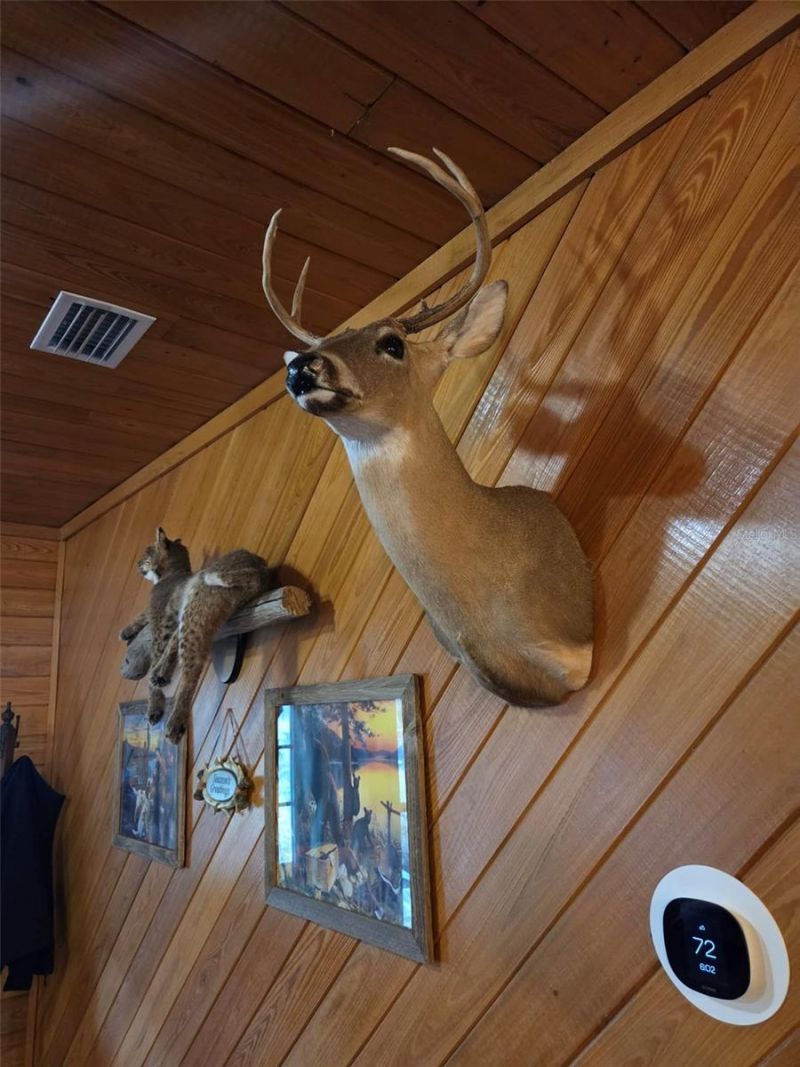 1106 Fox Hunter Rd, Perry, FL 32348 Photo