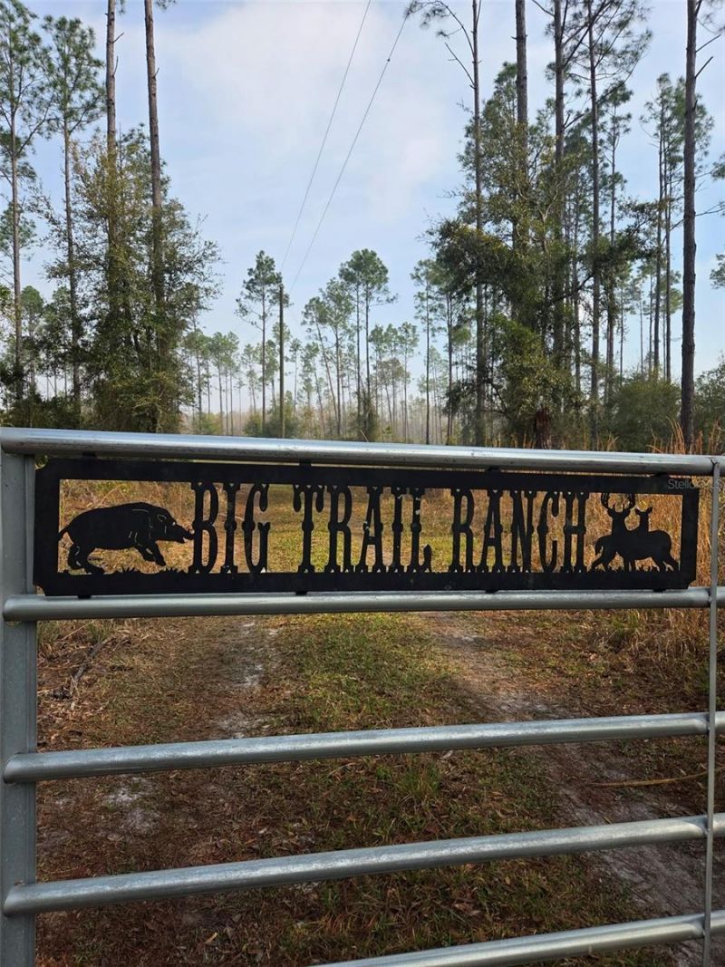 1106 Fox Hunter Rd, Perry, FL 32348 Photo