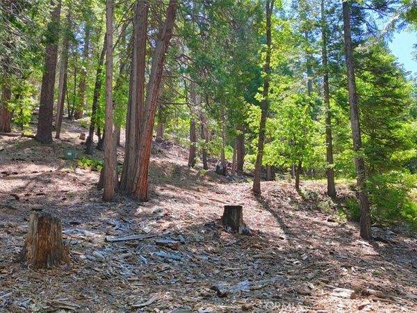 7220 Yosemite Park Way, Yosemite, CA 95389