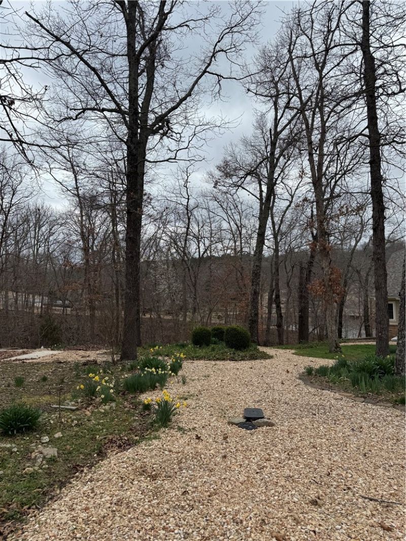 Cheviot Place, Bella Vista, AR 72715 Main Photo