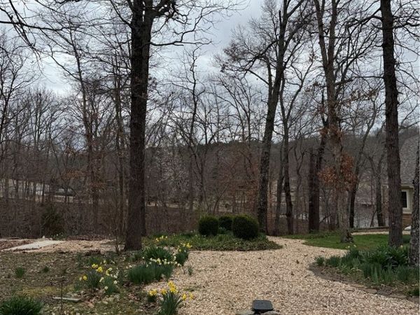 Cheviot Place , Bella Vista, AR 72715