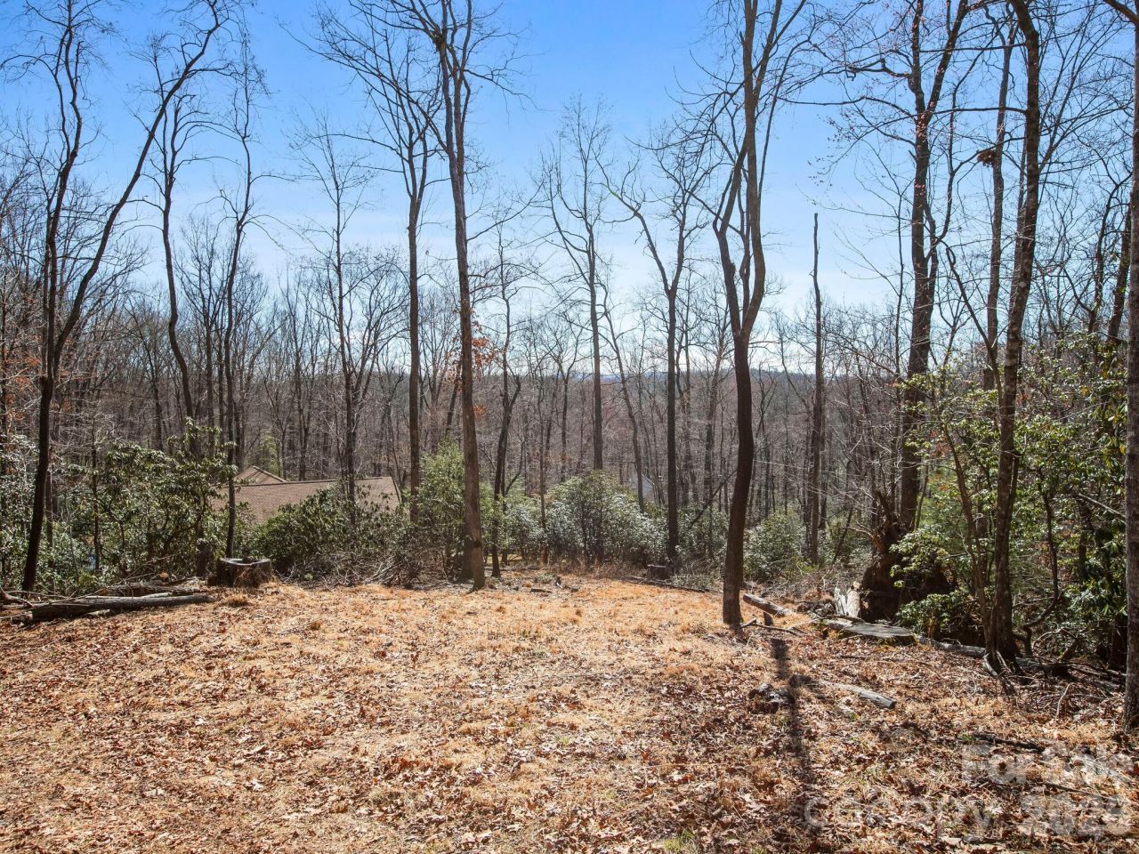 0 Alpen Rose Way, Mills River, NC 28759 Main Photo