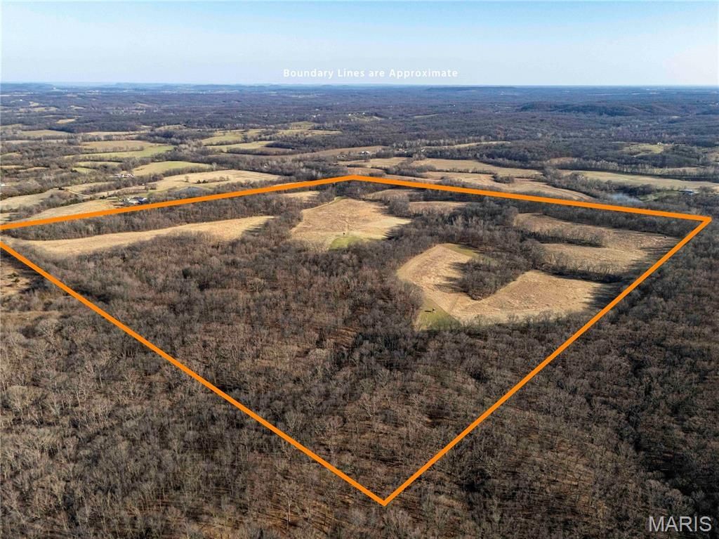 00 Pike 273, Louisiana, MO 63353 Main Photo